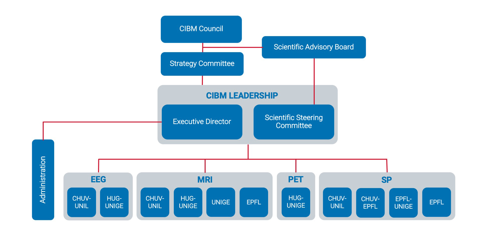 CIBM-Organigram