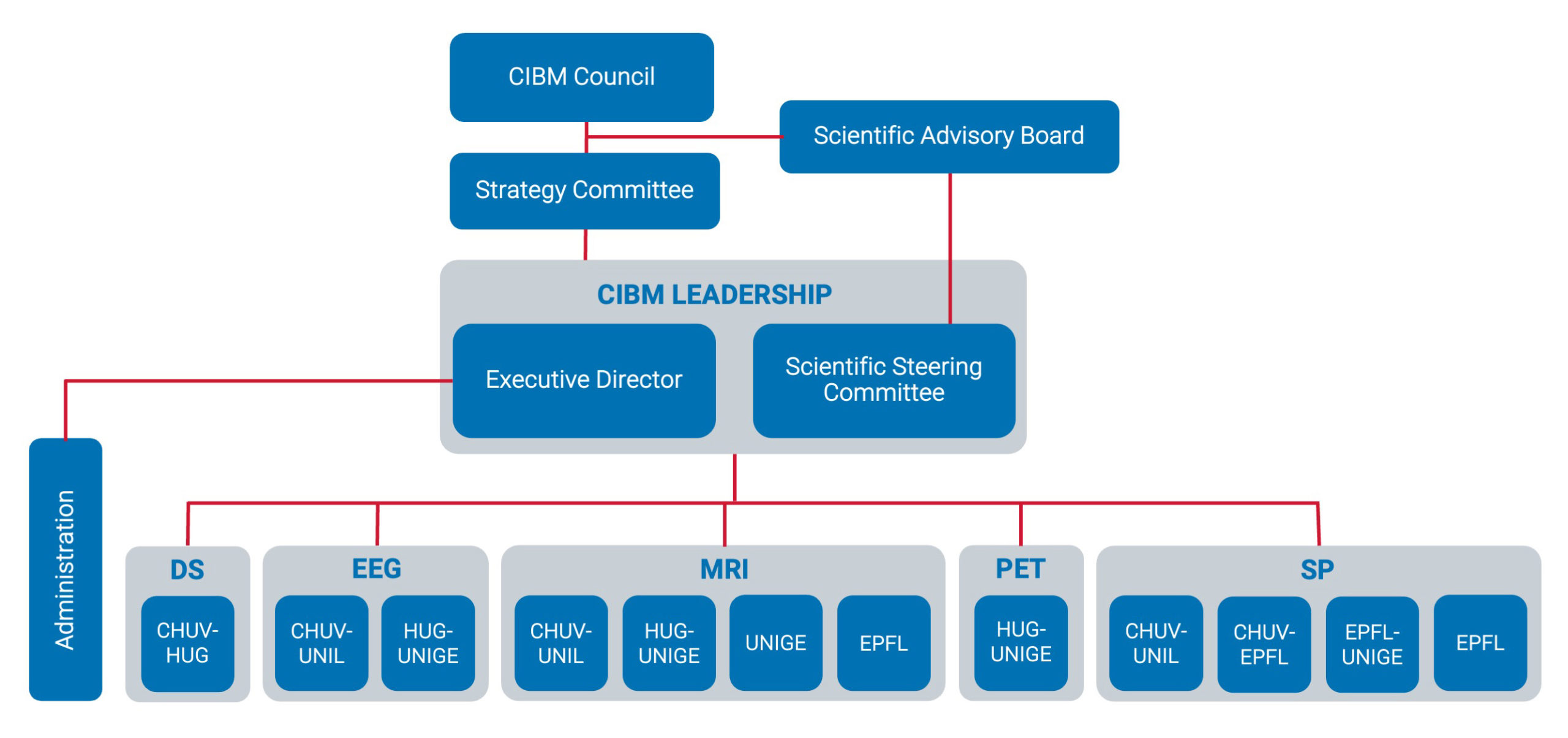 CIBM-Organigram2024