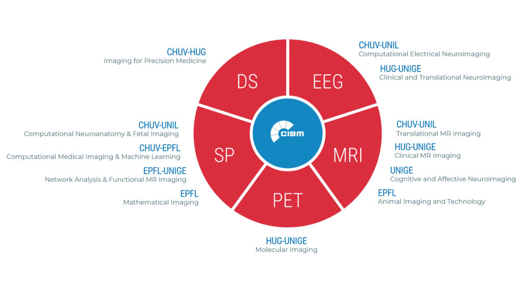 CIBM_Modules_diagram2024