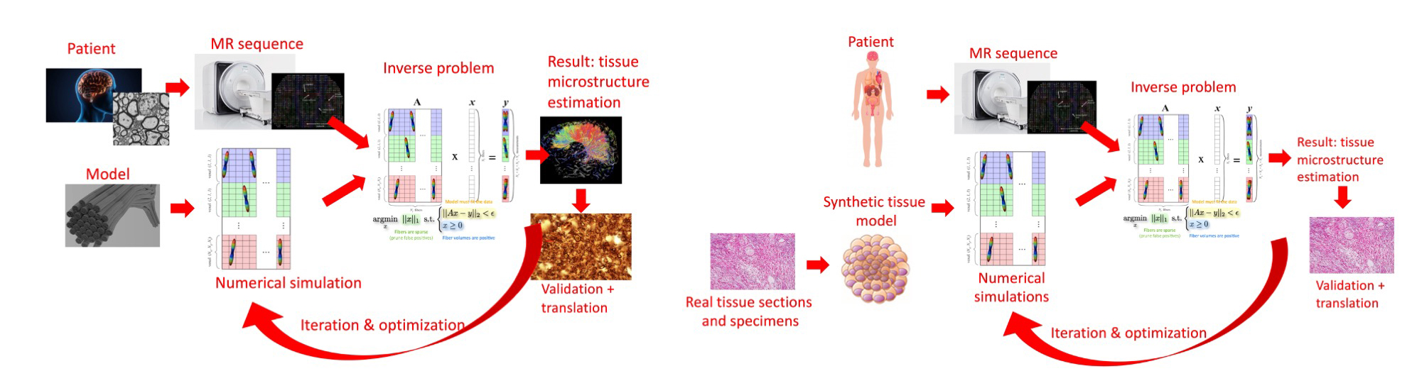 Computational Medical Imaging - CIBM | Center for Biomedical Imaging