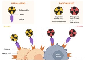 Theranostic developments for diagnostic and radioligand therapy