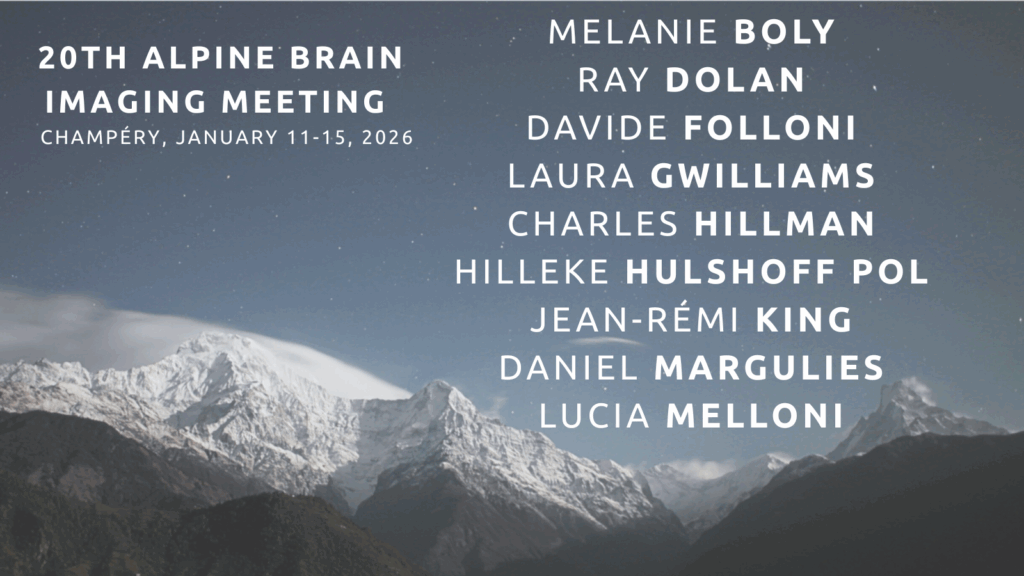 abim_provisory_line_up